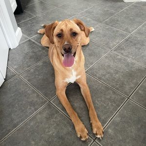 Meet your Posher, Aubrey